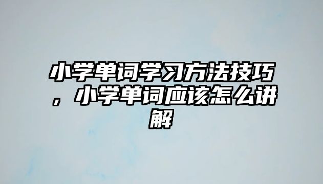 小學(xué)單詞學(xué)習(xí)方法技巧，小學(xué)單詞應(yīng)該怎么講解