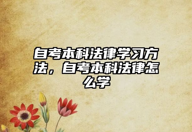 自考本科法律學(xué)習(xí)方法，自考本科法律怎么學(xué)