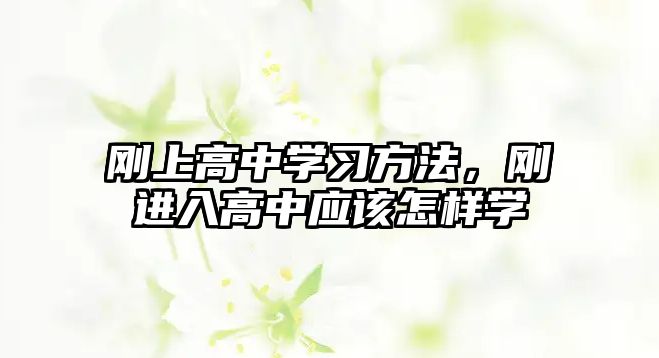 剛上高中學(xué)習(xí)方法，剛進(jìn)入高中應(yīng)該怎樣學(xué)