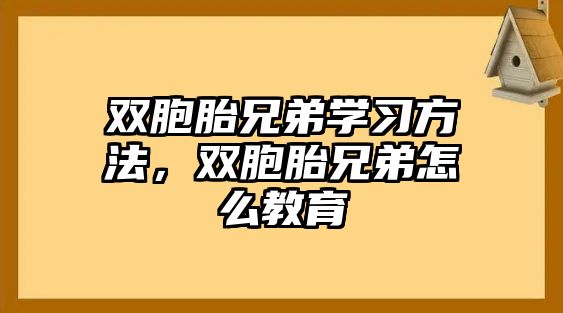 雙胞胎兄弟學習方法，雙胞胎兄弟怎么教育