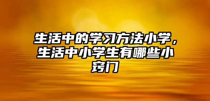 生活中的學習方法小學，生活中小學生有哪些小竅門