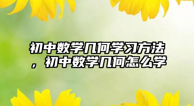 初中數(shù)學(xué)幾何學(xué)習(xí)方法，初中數(shù)學(xué)幾何怎么學(xué)