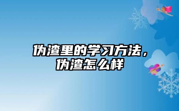 偽渣里的學習方法，偽渣怎么樣